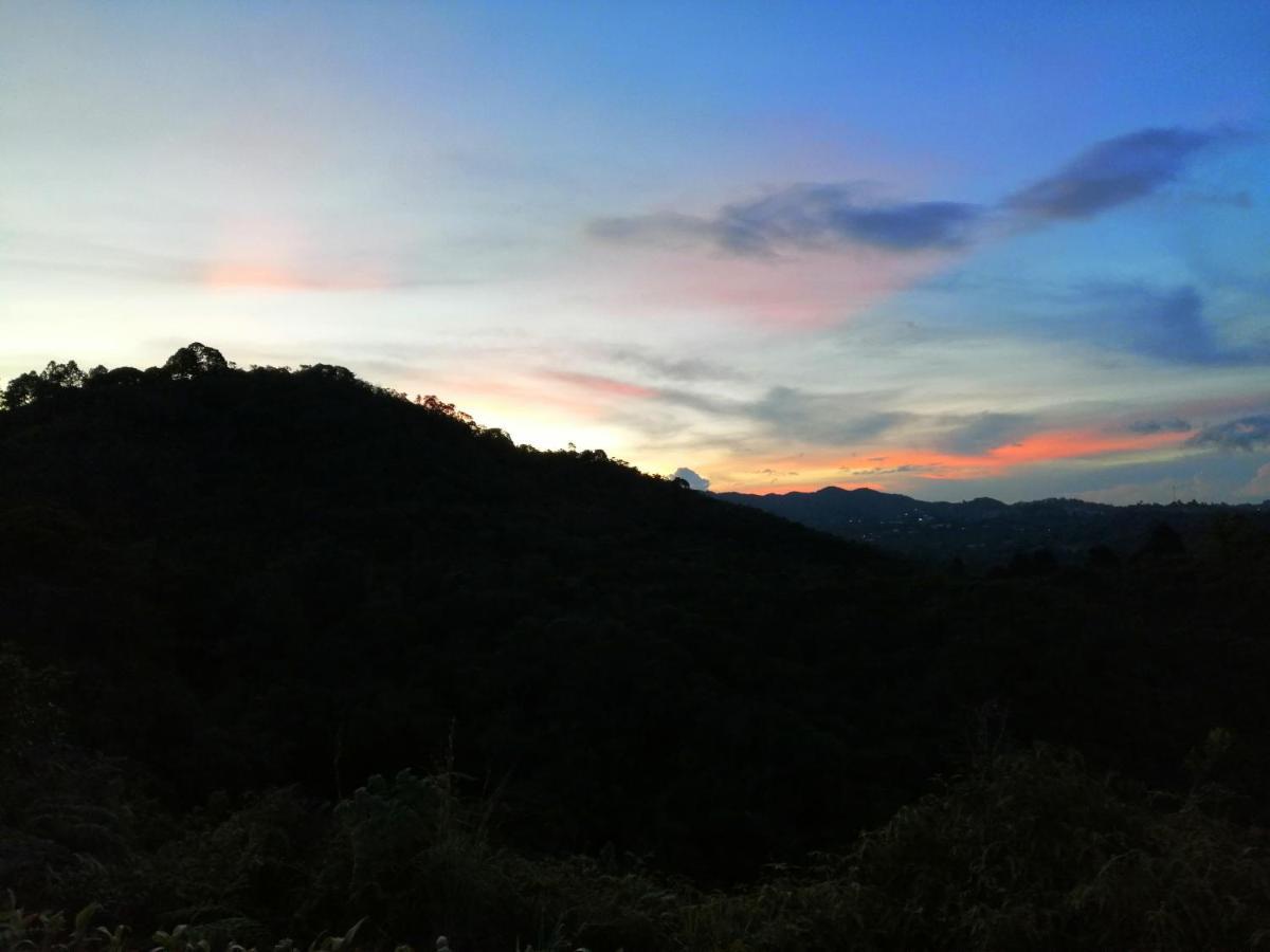 فندق Glamping La Montana Sagrada ميديلين المظهر الخارجي الصورة